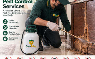 Deemak Alert: Save Your Home From Termites